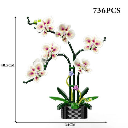 Creative Orchid Cymbidium Eternal Flowers Potted Plant Building Blocks Simulation Phalaenopsis DIY Bricks Toys Valentine's Gift