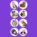 1 inch-100pcs 4