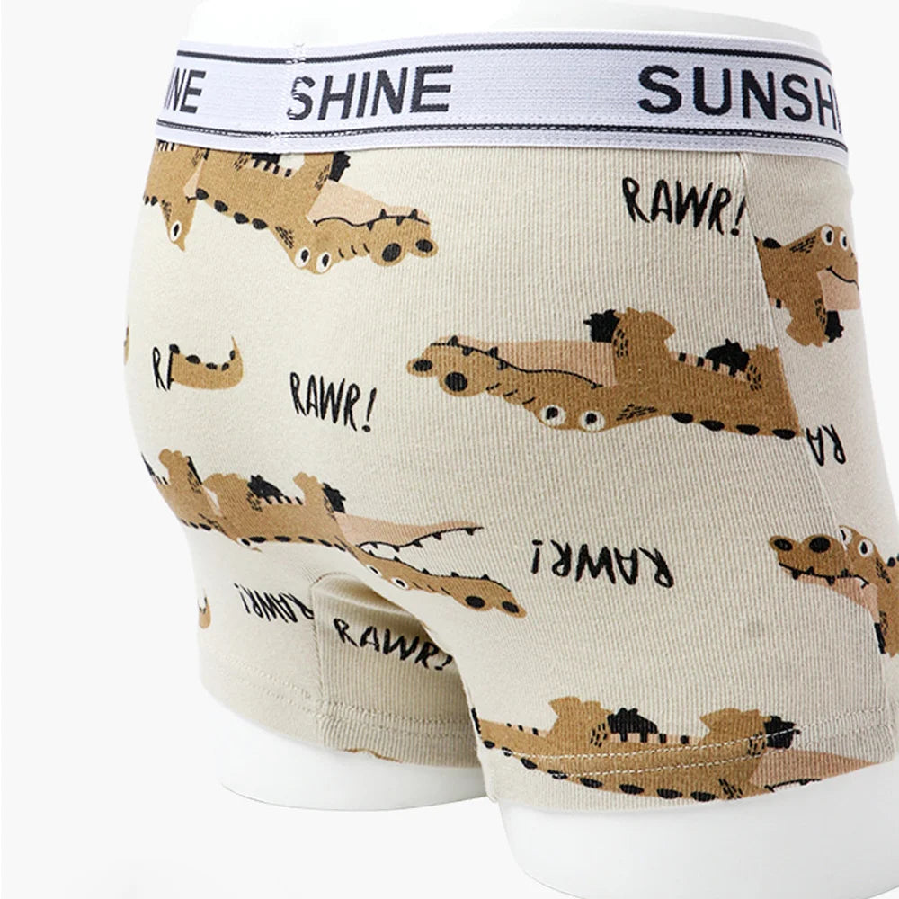 1/3/6 Pcs Boys Boxer Briefs Sets 2025 New Kids Cotton Underwear Boy Underpants Teenager Dinosaur Print Soft Children Panties