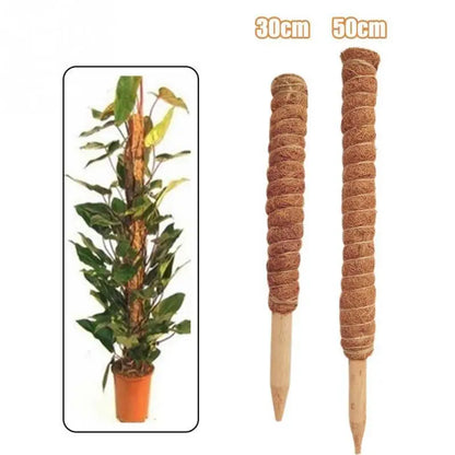 30cm/50cm Plant Climbing Coir Totem Pole Safe Gardening Coconut Stick For Climbing Plants Vines And Creepers Plant Support