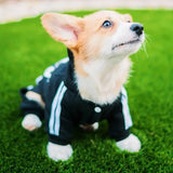 Small and Medium Dog Jumpsuit, Pet Clothing, Puppy Clothing, French Bulldog, Chihuahua, Pug, Pets, Clothes 