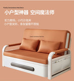 Sofá cama plegable de doble propósito para apartamentos pequeños, muebles de sala de estar de celebridades de Internet, retrato simple y doble multifunción