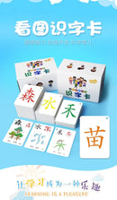 250 Pcs/Set Kid Learning Chinese Language Words Literacy Cards Baby Learning Card Memory Game Educational Toy Card for Kids