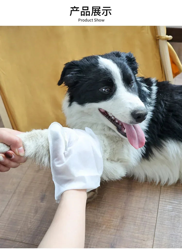 6PCS Cat Dog Disposable Glove Towels Pet Wash Free Glove No Rinse Washing Gloves Towels Deodorizing Dry Cleaning Wet Towels