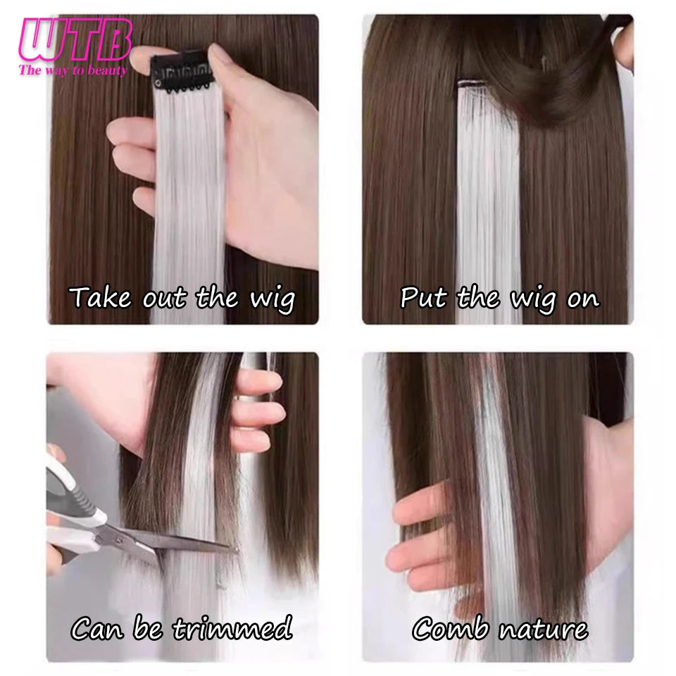 Synthetic One Card Hair Extension Wig Hair For Women Long Straight Clip-in Colored Zebra Line Feather Hair Extensions Fake Hair