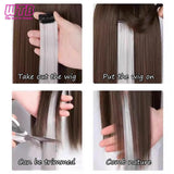 Synthetic One Card Hair Extension Wig Hair For Women Long Straight Clip-in Colored Zebra Line Feather Hair Extensions Fake Hair