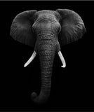 Canvas Painting Animal Wall Art Lion Elephant Hippo Zebra Poster And Modern Minimalist Photo Wall Living Room Bedroom Decoration