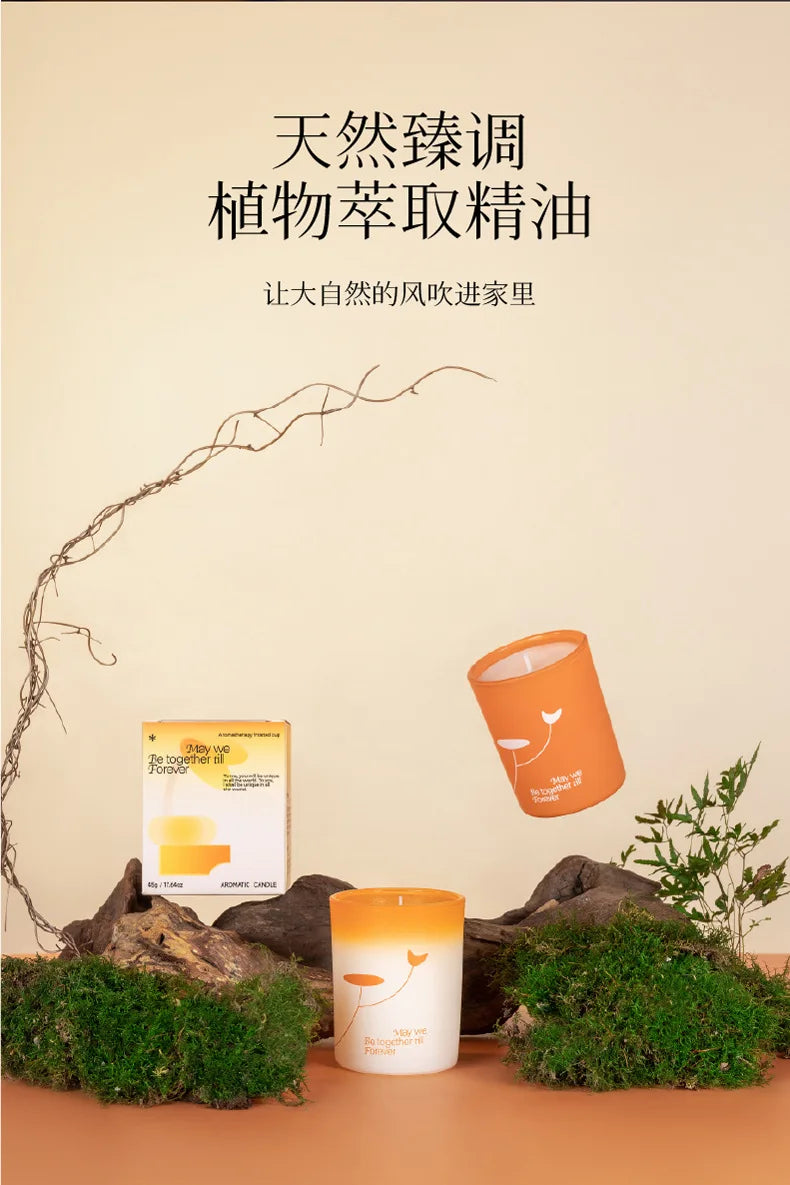 Aromatic Jar Candles for Room Decor, Ebony Sandalwood Scented Candle, Guest Gift Souvenir Candles