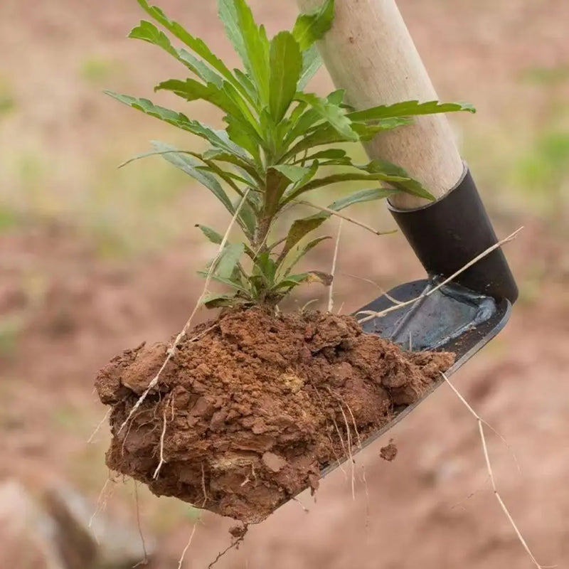 Durable Garden Hoe Household Outdoor Farming Tools Forging Weeding Hoe for Digging Soil Planting Vegetables Flowers