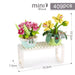 No Box 409pcs