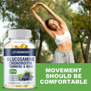 Glucosamine Chondroitin MSM Turmeric Boswellia - Antioxidant, Supports Joint and Bone HealthSupplement