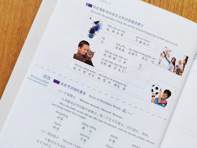 HSK Standard Course Textbook (Single Book Price) Mandarin Chinese Language Learning