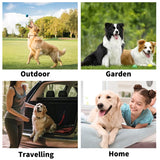 Cleaning Wipes Gloves for Dog and Cat,Pet Bathing Wipes Cleaning & Deodorizing,Dog Wipes for Body Paws Butt Daily Care,Cat Groom