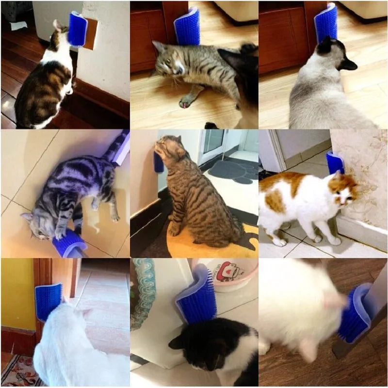 Rascador y masajeador para gatos, cepillo para quitar pelos, mesa de aseo, cuidado de perros y gatitos, accesorios Royal Canin