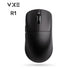 VXE-R1
