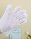 6PCS Cat Dog Disposable Glove Towels Pet Wash Free Glove No Rinse Washing Gloves Towels Deodorizing Dry Cleaning Wet Towels