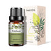 Patchouli