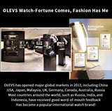 OLEVS 5529 Luxury Quartz Watch For Men Roman Scale Moon Phase Chronograph Man Watches Waterproof Luminous Calendar Wrist Watch