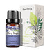 Clary Sage