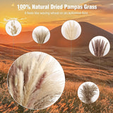 105pcs Natural Dried Flowers Pampas Floral Bouquet Boho Country Home Decoration Rabbit Tail Grass Reed Wedding Decor Arrangement