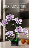 Creative Orchid Cymbidium Eternal Flowers Potted Plant Building Blocks Simulation Phalaenopsis DIY Bricks Toys Valentine's Gift