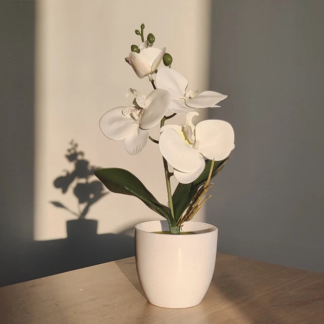 Simulado Orquídea Borboleta, Bonsai, Planta Em Vaso, Mesa, Mesa De Jantar, Escritório Em Casa, Vaso, Casamento, Decoração Do Quarto, Presente