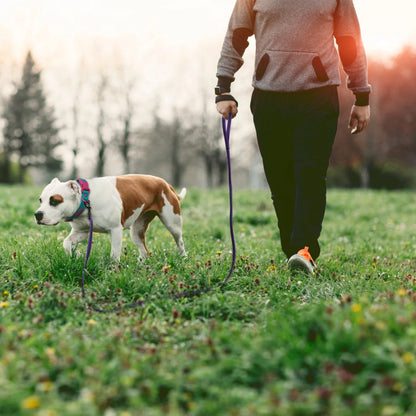 Correa para perros de látex, seda, mediana y pequeña, larga, de 1,5 m, 5 m, 3 m y 15 m, fácil y práctica para entrenamiento, correa para perros grande de dos colores, 10 metros.