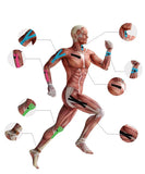 Tapes Kinesio Elastic Bandage Knee Pads Tapes Kinesiology Support Pads Locking Sports Self-Adhesive Venda Kinesiotape Bandage ￼
