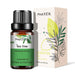 Tea tree