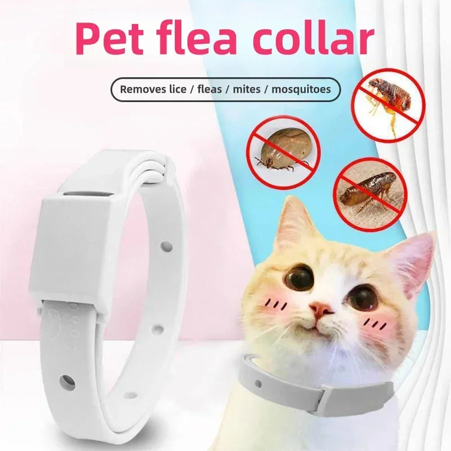 Collar para mascotas, collar antipulgas para gatitos, anillo desparasitante externo para mascotas, anillo antipulgas