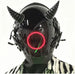 Red band Angle