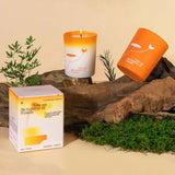 Aromatic Jar Candles for Room Decor, Ebony Sandalwood Scented Candle, Guest Gift Souvenir Candles