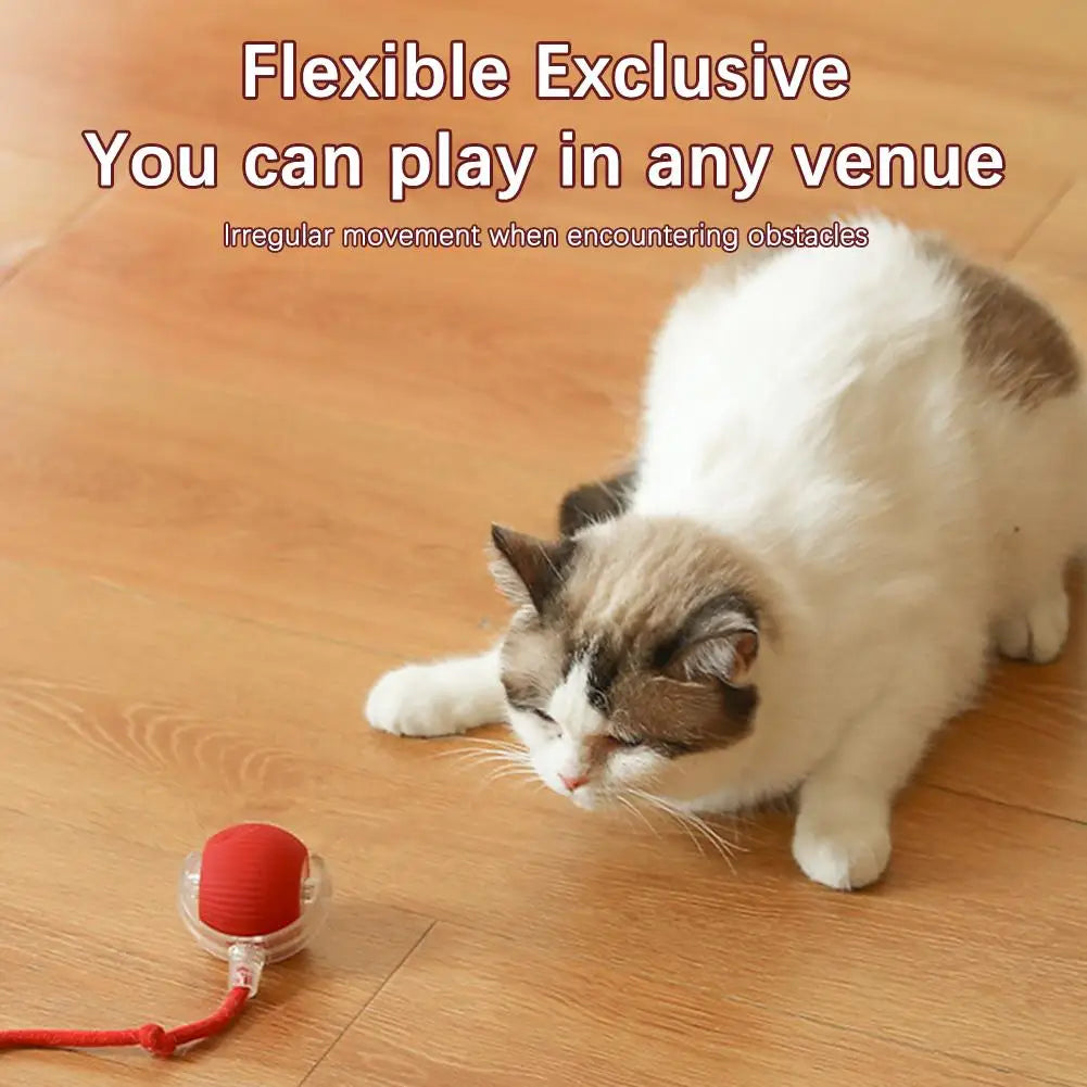 Interactive Rolling Balls for Cats, Super Drive, Bird Chewing, Movimento Ativado, Sensor, Pet, Gatinho, Teaser Game, Toy
