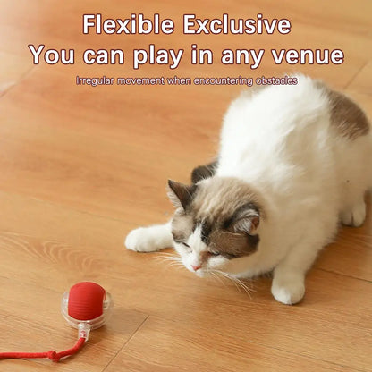 Interactive Rolling Balls for Cats, Super Drive, Bird Chewing, Movimento Ativado, Sensor, Pet, Gatinho, Teaser Game, Toy