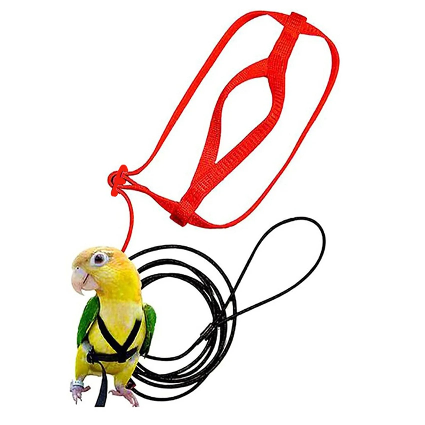 Anti-Bite Parrot Harness Leash Training Rope Bird Flying Leash for Pet Birds Durable Bird Harness Leash for Parrot
