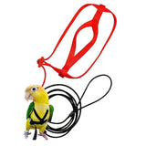 Anti-Bite Parrot Harness Leash Training Rope Bird Flying Leash for Pet Birds Durable Bird Harness Leash for Parrot