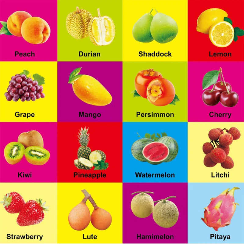 English Language and Cognitive Learning Books for 0-2 Year Olds; Ideal Early Education Children's Gifts