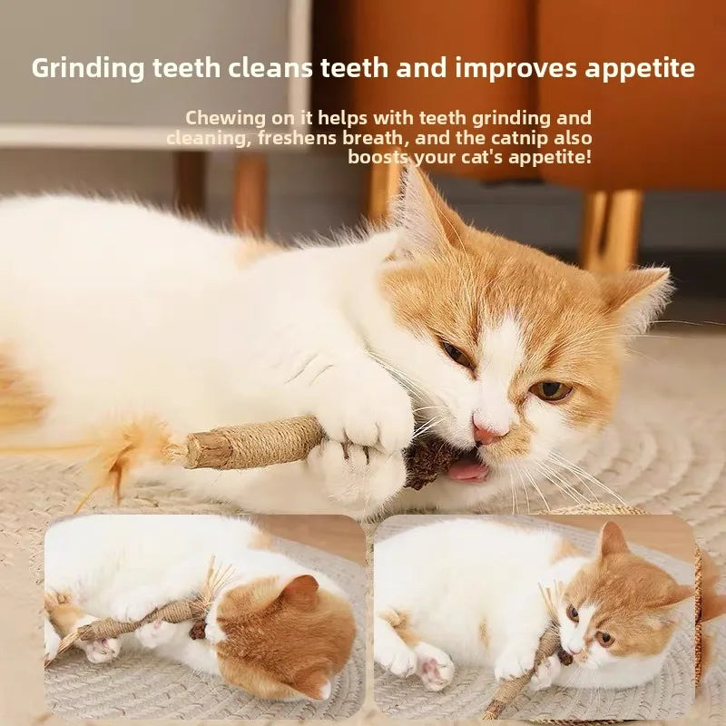 New Toy Cat Chew Toys Silvervine Chew Stick with Catnip Wooden Cleaning Pet Snack Sticks Kitty Raffia Grass Training