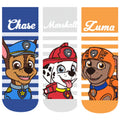 Lote de 3 pares de calcetines de algodón de malla para niños y niñas de 3 a 7 años, de la Patrulla Canina, de moda para primavera y verano. 