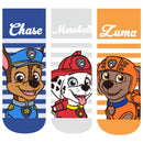 Lote de 3 pares de calcetines de algodón de malla para niños y niñas de 3 a 7 años, de la Patrulla Canina, de moda para primavera y verano. 