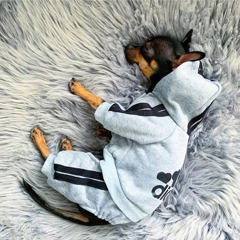 Small and Medium Dog Jumpsuit, Pet Clothing, Puppy Clothing, French Bulldog, Chihuahua, Pug, Pets, Clothes 