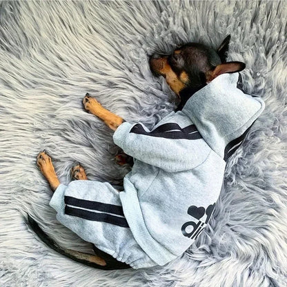 Macacão Pequeno e Médio Cão, Roupa Pet, Roupa Filhote, Buldogue Francês, Chihuahua, Pug, Animais de Estimação, Roupas
