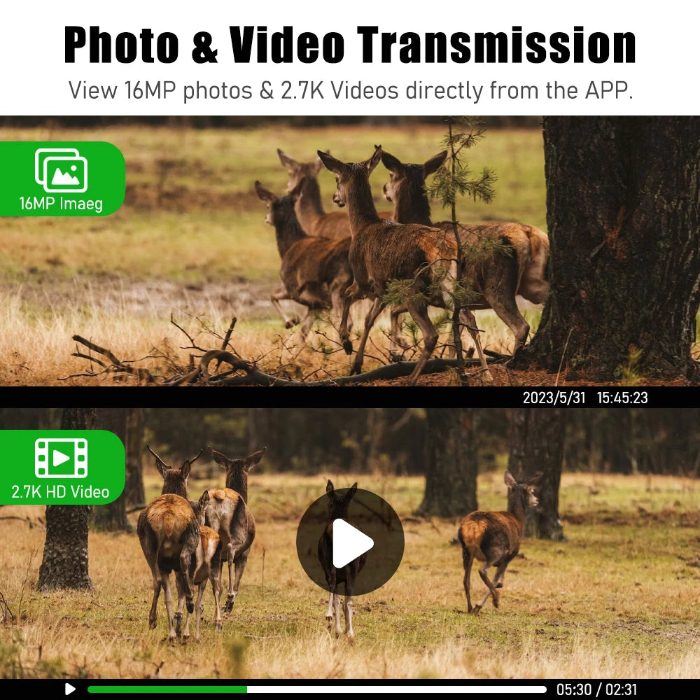 EU 4G Cellular 4MP 2K Battery Solar PIR Motion Activated Wildlife Hunting Trail Camera IP65 Outdoor Night Vision No Red Exposure