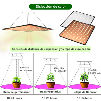 Full Spectrum Indoor Grow Light, Phytolamp para Plantas, Phyto Lamp para Gow Tent Box, Mudas crescendo e florindo, 1000W