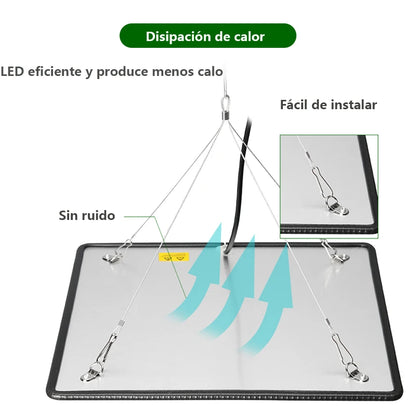 Full Spectrum Indoor Grow Light, Phytolamp para Plantas, Phyto Lamp para Gow Tent Box, Mudas crescendo e florindo, 1000W
