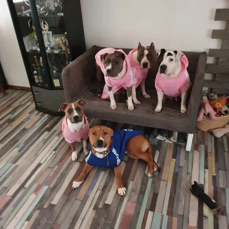 Ropa cálida para perros de otoño e invierno, sudaderas con capucha para perros Adidog, abrigo cálido para mascotas, chaqueta para perros medianos y grandes, suéter, ropa para cachorros de bulldog francés