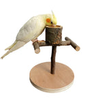 Solid Wood Parrot Stand Training Bird Stand Parrot Toys Desktop Training Stand Pole Interactive Playground Small Pet supplies