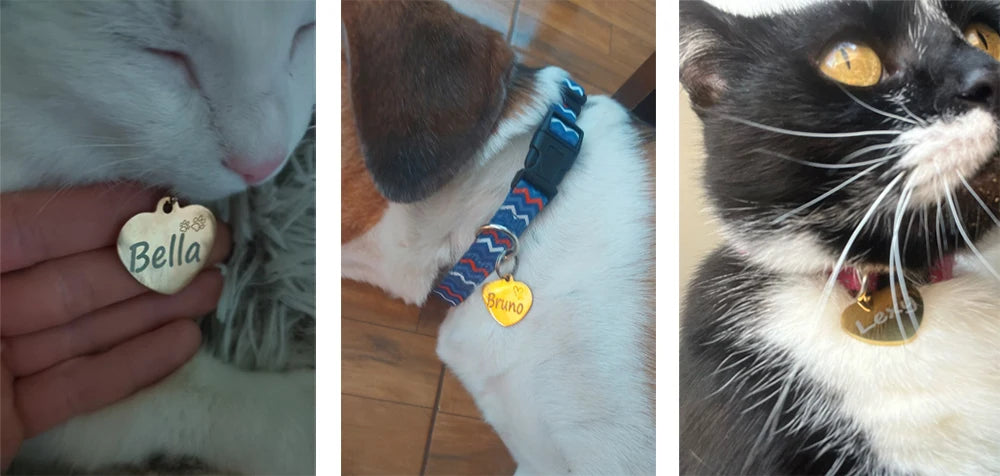 Dog ID Heart Tag Custom Personalized Cat Collar Pendant Engraved Pet Necklace Chain Charm Supplies For Name Products