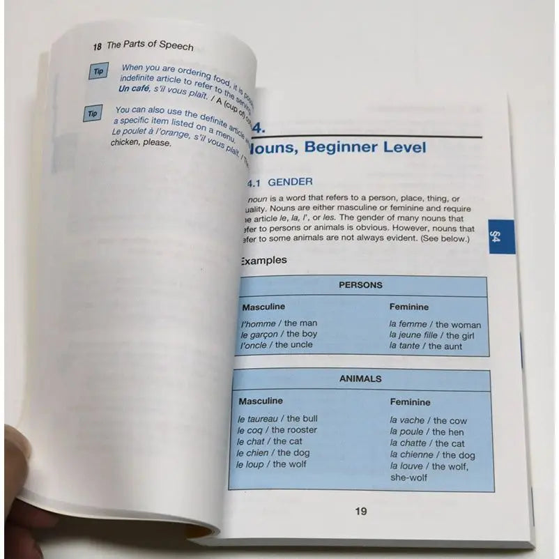 French grammar original language study book English version reference book