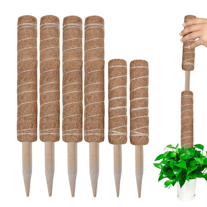 30/40/50cm Moss Pole for Indoor Climbing Plants Creepers to Grow Upwards Plant Support with Garden Ties